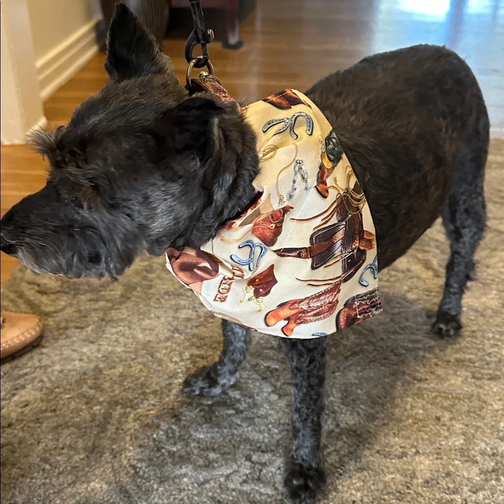 Stylish Dog Bandana with Matching Poopie Bag